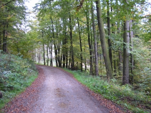het Kellerwald