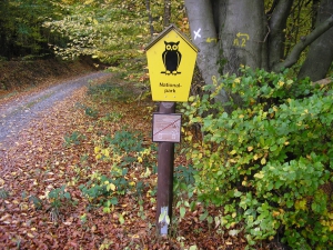 het Kellerwald