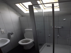 De badkamer