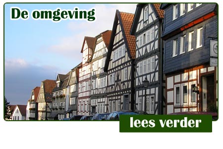 Meer informatie over de omgeving