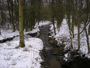 Kellerwald